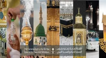 بعد نجاح موسم الحج.. الهيئة العامة لشؤون الحرمين تحذر الحجاج وتطالبهم بحماية أنفسهم