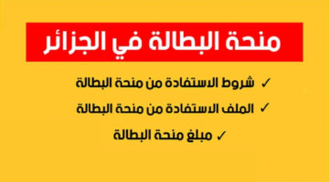ما هي شروط منحة البطالة 2024 وطريقة التقديم وتعبئة استمارة المنحة؟ الوكالة الوطنية للتشغيل توضح