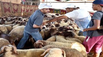 عاجل وزارة الأوقاف المغربية تكشف عدد ايام عطلة العيد في المغرب 2024