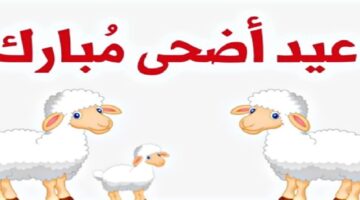 عاجل مجلس الوزراء العراقى يحدد موعد عطلة عيد الاضحى في العراق 2024