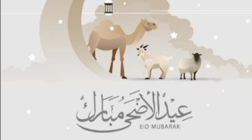من الجمعة إلى السبت.. كم مدة إجازة عيد الأضحى للموظفين في القطاع الحكومي المصري