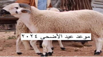 عاجل معهد البحوث الفلكية يعلن موعد عيد الاضحى فلكيا 2024 في مصر