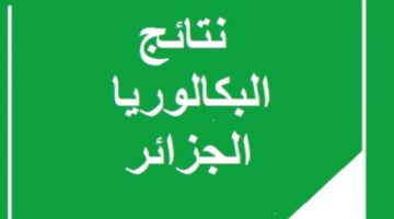 وزارة التربية الجزائرية تكشف موعد ظهور نتائج البكالوريا 2024 بالجزائر وكيفية الحصول عليها