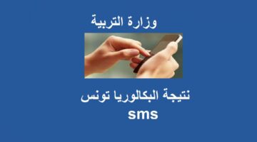 عبر الرسائل القصيرة.. وزارة التربية التونسية تعلن نتيجة البكالوريا تونس sms