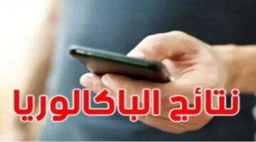 ما هي خطوات الاستعلام عن نتائج البكالوريا تونس 2024 عبر موقع الوزارة الرسمي؟
