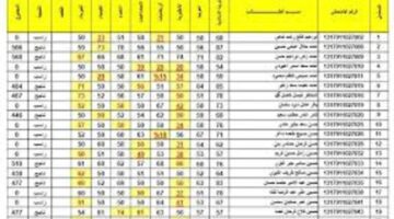 طريقة الاستعلام عن نتائج الثالث متوسط 2024 صلاح الدين عبر موقع الوزارة