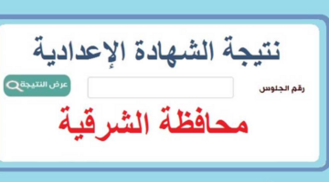 لكافة الإدارات التعليمية.. متاح رابط نتيجة الثالث الاعدادي محافظة الشرقية برقم الجلوس