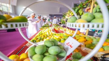 مهرجان المانجو خورفكان: رحلة استثنائية في عالم الفواكه الذهبية