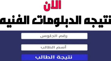 ظهرت الآن .. رابط استخراج نتيجة الدبلومات الفنية 2024 اليوم السابع بالأسم ورقم الجلوس