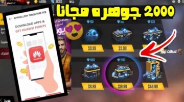 خطوات الحصول علي جواهر فري فاير من  shop2game ..الموقع يمنح جواهر بالمجان