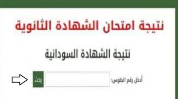 وزارة التربية والتعليم السودانية تطرح طريقة استعلام نتائج شهادة الثانوية 2024 السودان