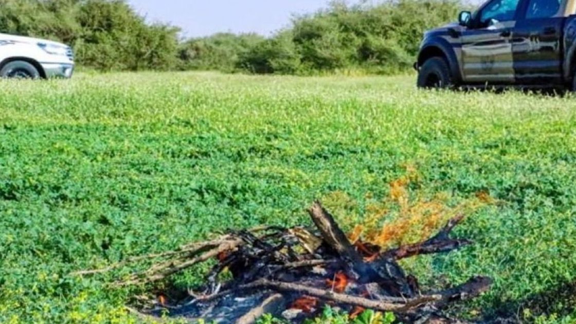 عاجل .. آخر تحذيرات الدفاع الوطني بعدم إشعال النار في أراضي الغطاء النباتي