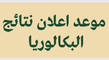 استخراج كشف نقاط شهادة البكالوريا 2024 لجميع الطلاب في الجزائر