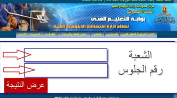 الاستعلام عن نتيجة الدبلومات الفنية برقم الجلوس 2024 عبر بوابة التعليم الفني