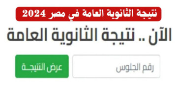 بدأ العد التنازلي.. وزارة التربية والتعليم المصرية تتيح رابط استخراج نتيجة الثانوية العامة برقم الجلوس 2024