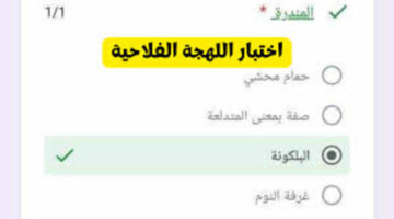 تريند مصري جديد يسيطر على مواقع التواصل الاجتماعي إختبار اللهجة الفلاحية