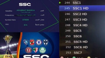 “حملها الآن واستمتع بمباريات دوري روشن”.. تردد قنوات ssc نايل سات المجانية 2024