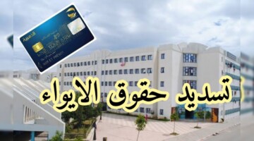 ما هي خطوات تسديد حقوق الايواء في الجزائر للطلبة الجامعيين 2024؟ .. وزارة التعليم العالى توضح