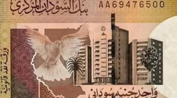 سعر الريال السعودي مقابل الجنيه السوداني اليوم الخميس 29 أغسطس 2024