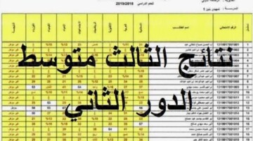“من هنا epedu.gov.iq”.. كيفية الاستعلام عن نتائج الثالث متوسط الدور الثاني 2024 في عموم محافظات العراق