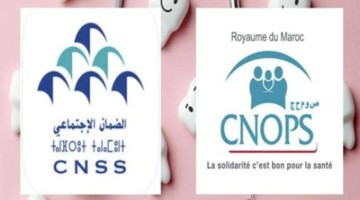 “الغاء كنوبس”.. الحكومة تتجه لدمج الموظفين في الصندوق الوطني للضمان الاجتماعي وإلغاء تأمين الطلبة