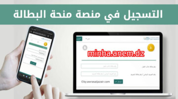 جددها فور من هنا “anem dz”.. خطوات تجديد منحة البطالة 2024 في الجزائر وأهم الشروط المطلوبة