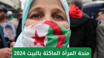الوكالة الوطنية الجزائرية تعلن فتح باب التسجيل في منحة المرأة الماكثة في المنزل 