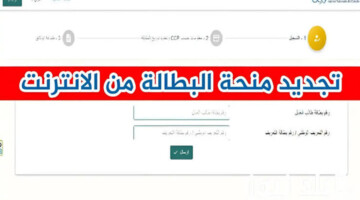 الوكالة الوطنية للتشغيل تحدد خطوات تجديد منحة البطالة 2024
