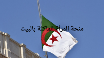 الوكالة الوطنية للتشغيل توضح رابط التسجيل في منحة المرأة الماكثة في البيت والشروط اللازمة للحصول على الدعم 