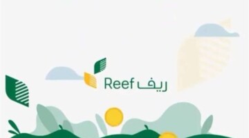 ما هي خطوات استعلام عن دعم ريف وموعد نزوله لشهر أكتوبر 2024؟