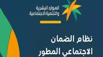 موعد إعلان اهلية الضمان المطور الدورة 34 شهر أكتوبر 2024.. وتاريخ ايداع المعاشات للمؤهلين