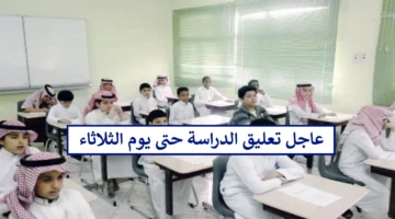عاجل ورسميًا.. تعليق الدراسة الحضورية حتى يوم الثلاثاء في جميع مدارس المملكة لهذا السبب