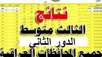 رابط الاستعلام نتائج الثالث متوسط 2024 الدور الثاني pdf نتائجنا بالرقم الامتحاني