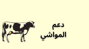 “سجل الآن”.. كيفية التسجيل في دعم المواشي 1446 والشروط اللازمة