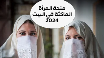 طريقة التقديم على منحة المرأة الماكثة في البيت 2024.. دعم حكومي للنساء الجزائريات