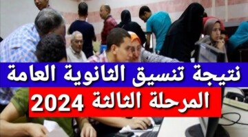 خطوة بخطوة .. رابط وطريقة الحصول على نتيجة تنسيق المرحلة الثالثة 2024-2025