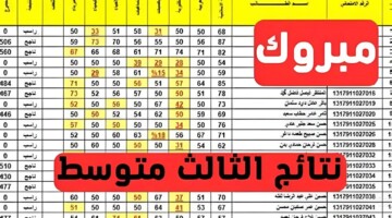 ظهرت pdf.. نتائج الثالث متوسط الدور الثاني 2024 بابل وبغداد وعموم المحافظات عبر موقع وزارة التربية