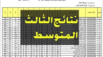 وزارة التربية العراقية توضح آلية الاستعلام عن نتائج الصف الثالث المتوسط الدور الثاني