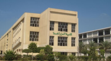 رابط الاستعلام عن نتائج الدبلومات الفنية.. نتيجة معادلة كلية الزراعة 2024