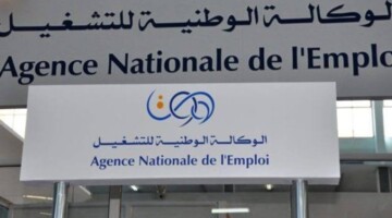 الوكالة الوطنية للتشغيل تكشف حقيقة زيادة منحة المرأة الماكثة في البيت 2024 بالجزائر