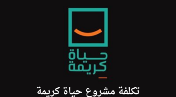 الرئيس السيسي يكشف تكلفة المرحلة الأولى من مشروع حياة كريمة