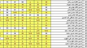 الاستعلام عن نتائج الثالث المتوسط 2024 الدور الثالث جميع المحافظات