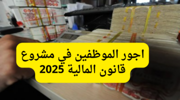 وزير المالية الجزائري يوضح أجور الموظفين في مشروع قانون المالية 2025