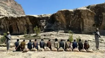 السلطات تقبض على 12 شخصًا بتهمة تهريب 200 كيلوغرام من نبات القات في منطقة عسير.