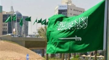 السعودية: لا يمكن ربط دخول المساعدات لغزة بوقف النار

  4/11/2025 3:13:48 PM