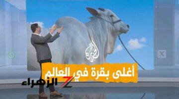 بقرة سعودية تشبه الجمل تباع بـ4 ملايين دولار.. الأغلى في العالم وتثير ذهول الناس والعلماء!