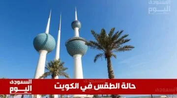 تتوقع الظروف الجوية ارتفاعًا في درجات الحرارة، مصحوبًا بغبار كثيف وربما أمطار خفيفة.