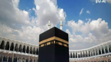 كل ما يجب معرفته عن خدمة أجير للعمل الموسمي في السعودية!