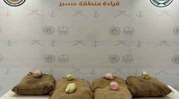 إحباط تهريب كمية كبيرة.. تم ضبط 120 كيلوغرامًا من نبات القات المخدر في منطقة عسير!