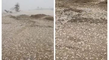 ضباب كثيف يغلف وادي جليل في الطائف